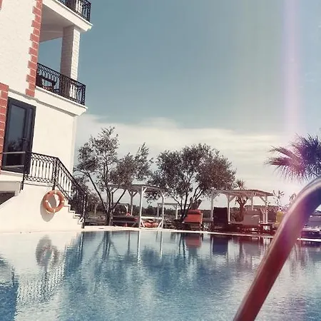 Erol - Sadece Yetişkin Ayvalı