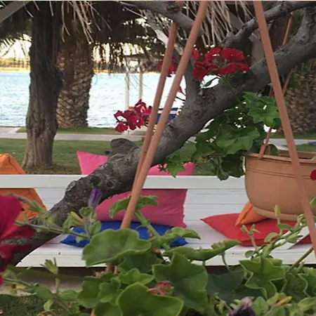 Erol - Sadece Yetişkin Otel 3*