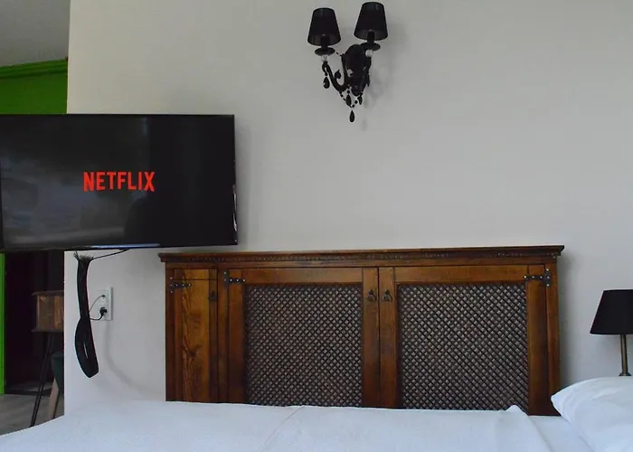 Ξενοδοχείο Erol - Adult Only 3*