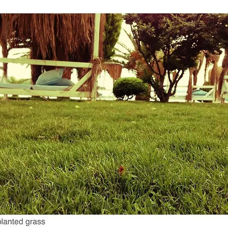 Erol - Adult Only 3* Ayvalik