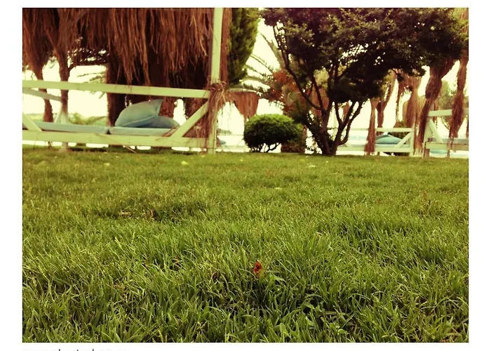 Erol - Adult Only 3* Ayvalı