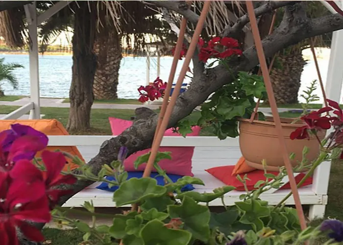 Erol - Adult Only 酒店 3*