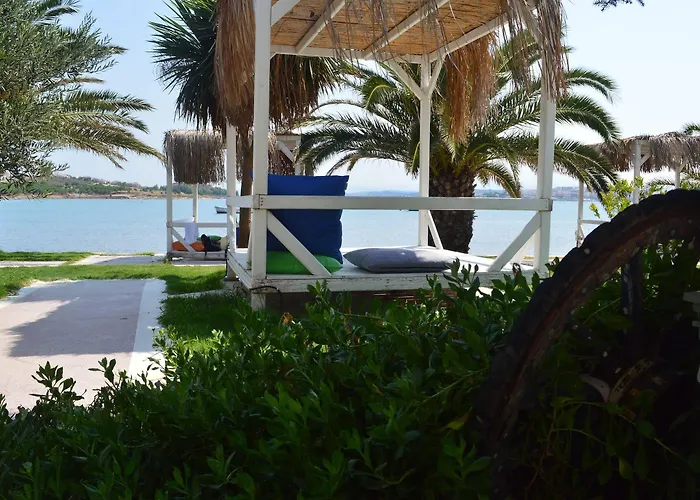 Erol - Adult Only Ayvalı